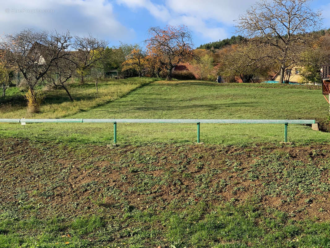 Terrain à SAINT-JEAN-SAVERNE