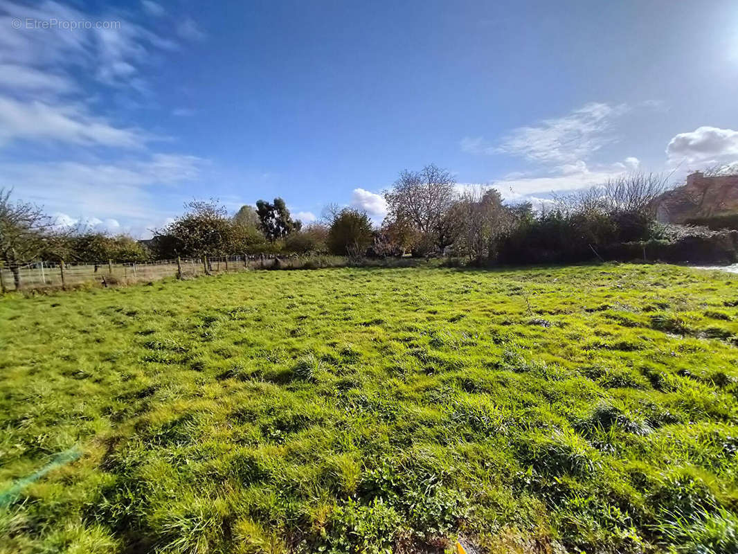 Terrain à DOL-DE-BRETAGNE