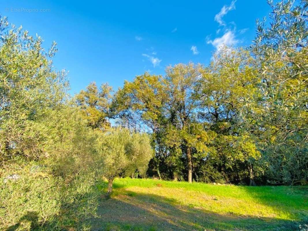 Terrain à UZES