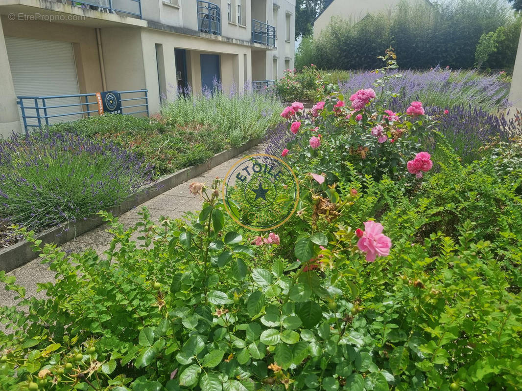 Appartement à ANGERS