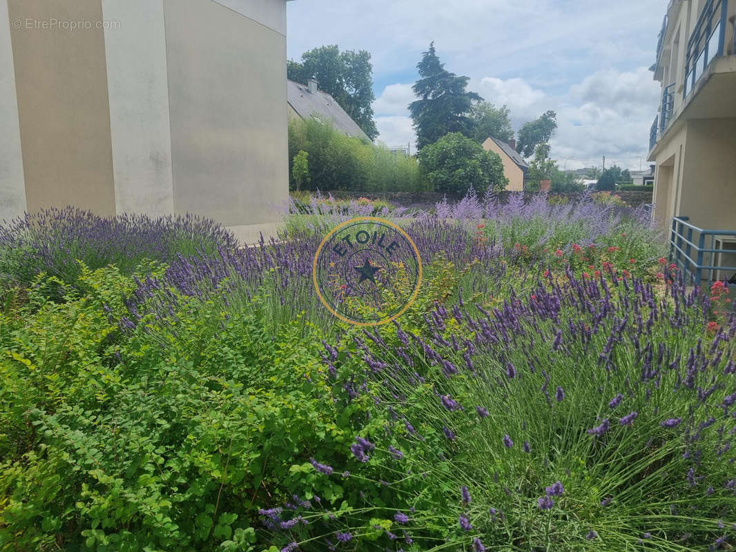 Appartement à ANGERS