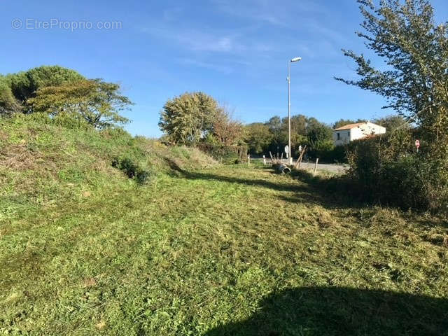 Terrain à SAINT-MEDARD-D&#039;AUNIS