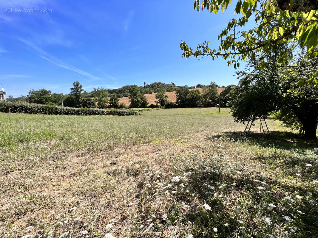 Terrain à PUYLAURENS