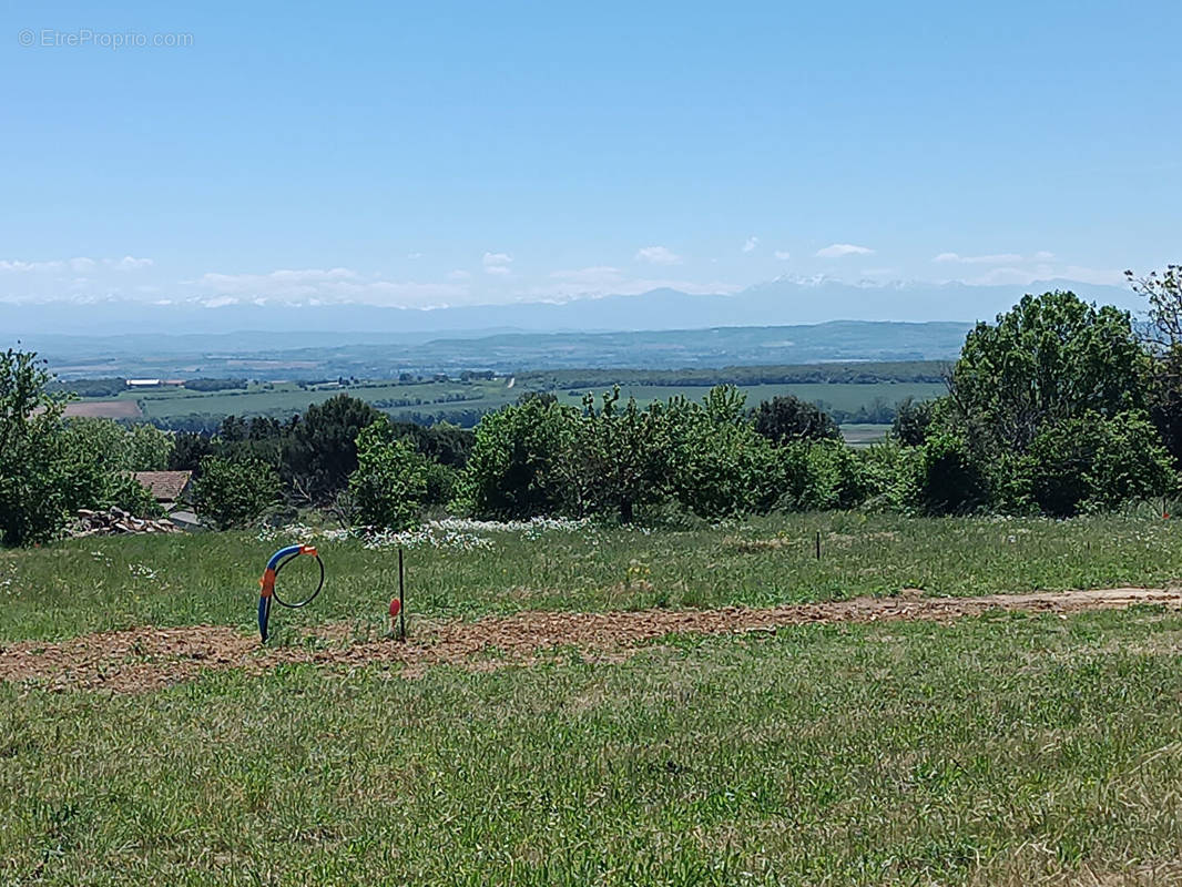 Terrain à CARLIPA