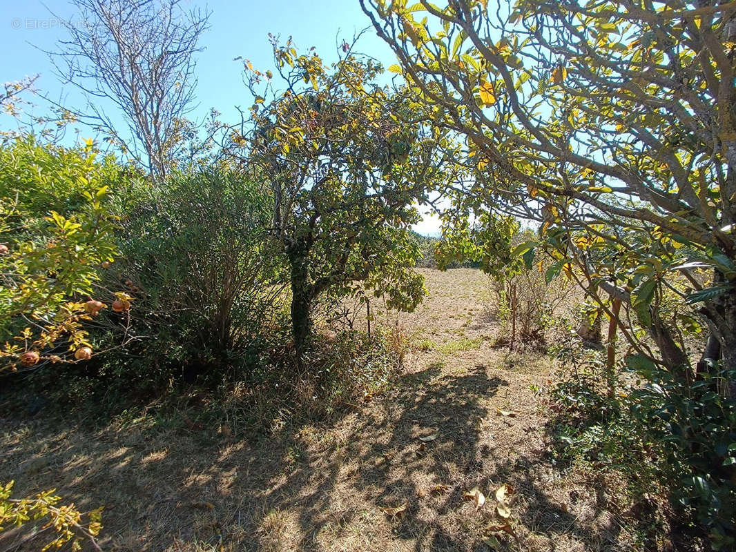 Terrain à VILLEPINTE