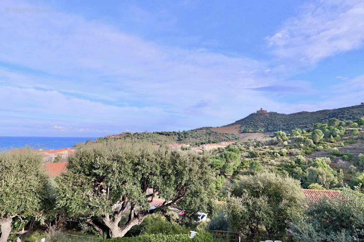 Maison à COLLIOURE