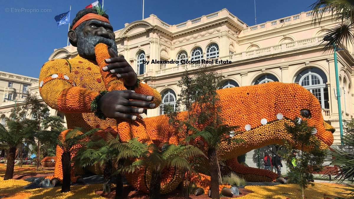 La &quot;Fête du Citron&quot; a cote de vous...! - Appartement à MENTON