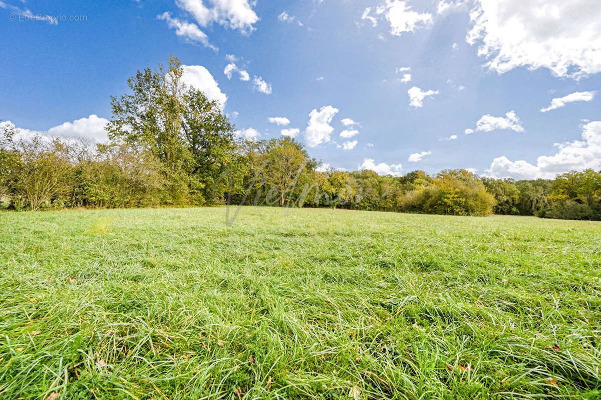 Terrain à AUTOUILLET