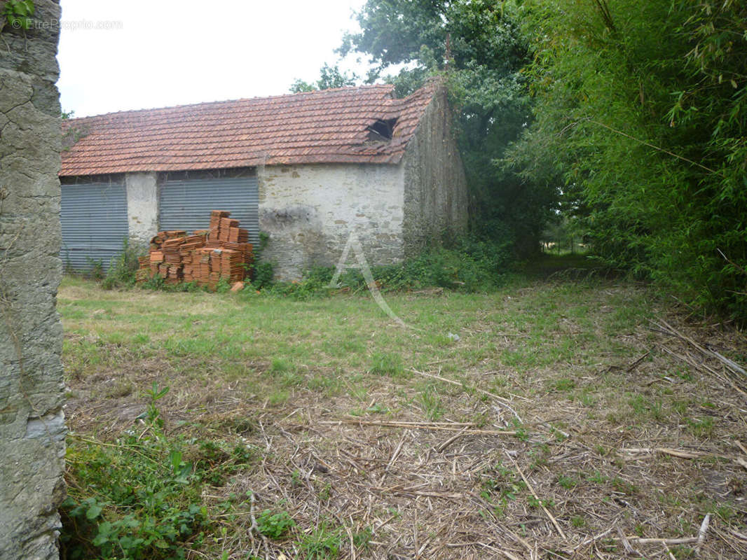 Terrain à BOURGNEUF-EN-RETZ