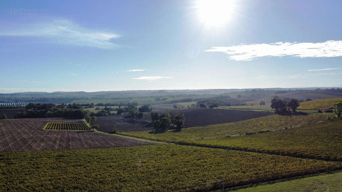 Vue campagne-Countryside view 1 - Maison à VALENCE-SUR-BAISE