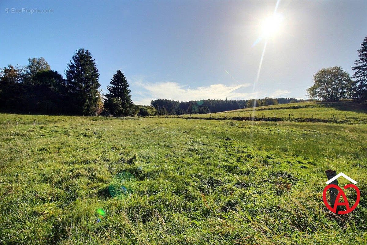 Terrain à RANRUPT