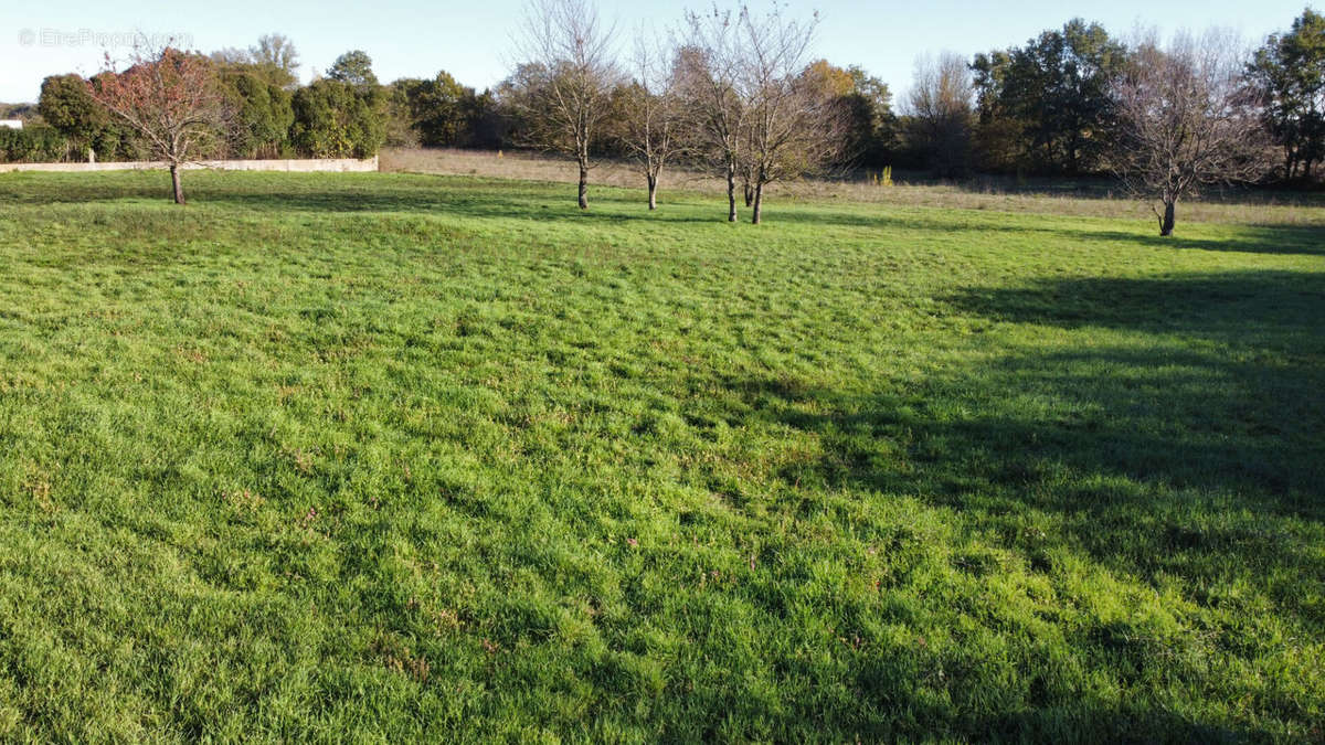 Terrain à FONTENILLES