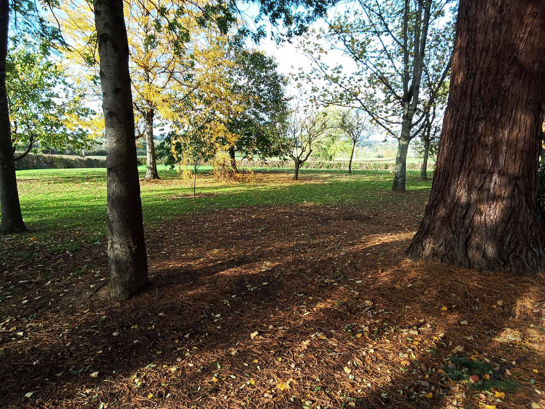 Terrain à PARAY-LE-MONIAL