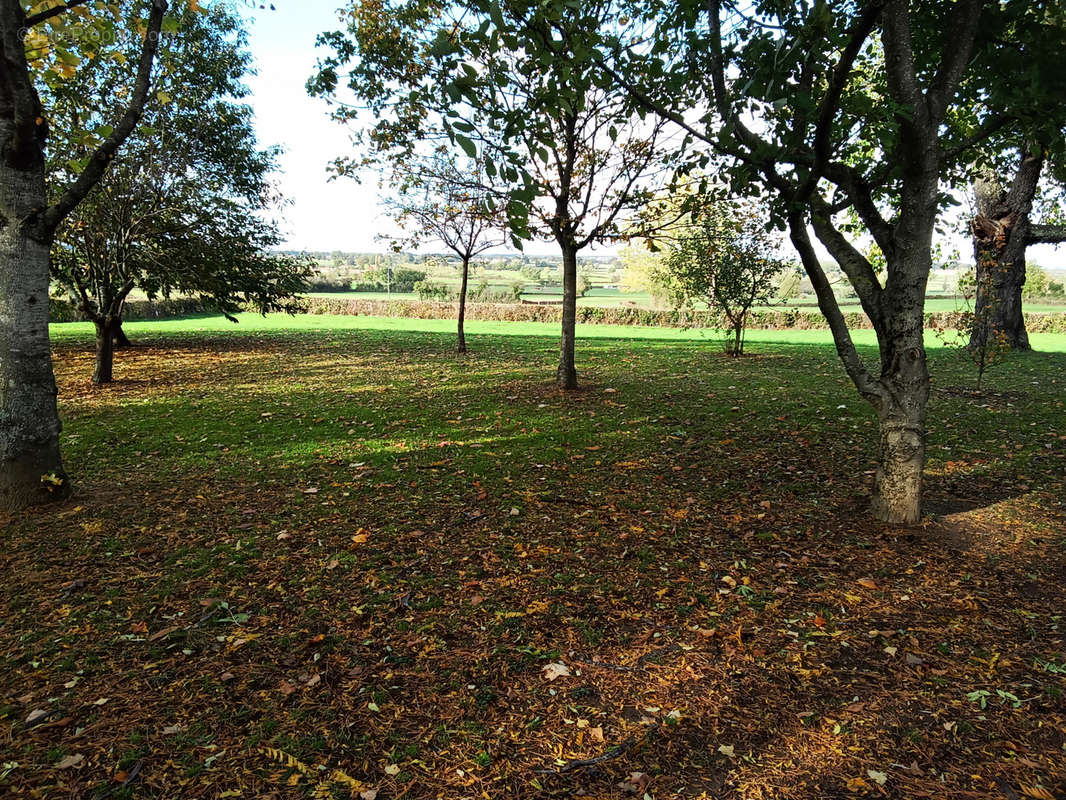 Terrain à PARAY-LE-MONIAL