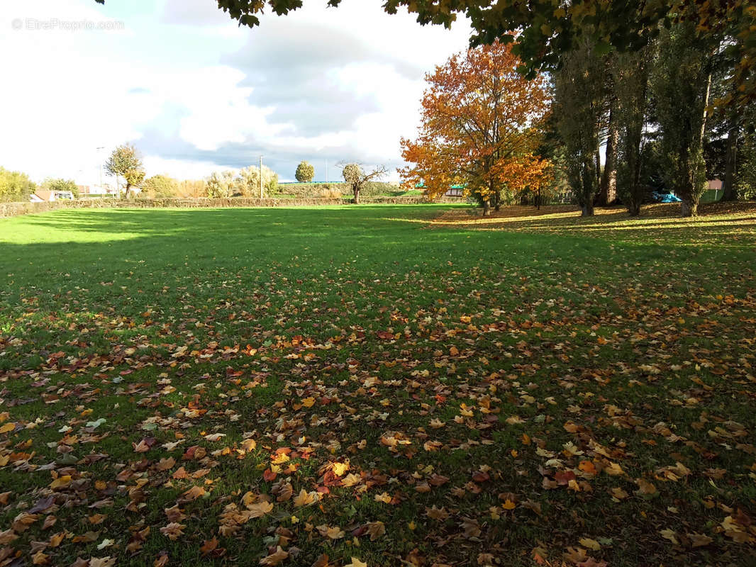 Terrain à PARAY-LE-MONIAL