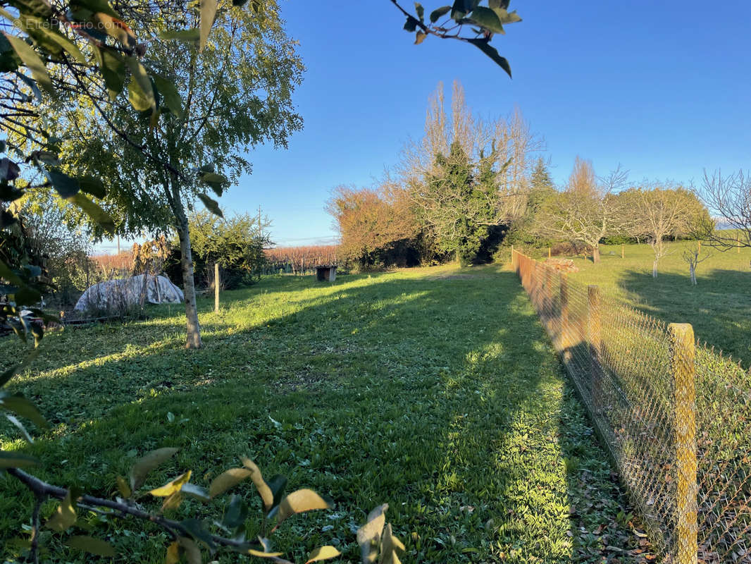 Terrain à GENSAC