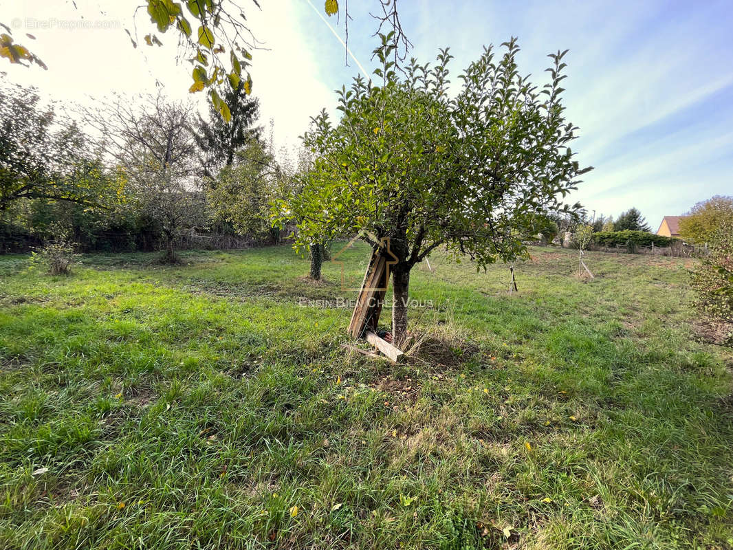 Terrain à L&#039;ISLE-SUR-SEREIN