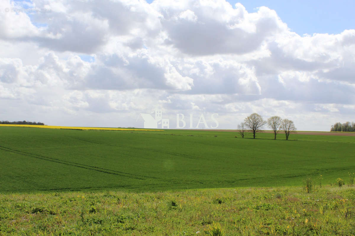 Terrain à SAINT-AUBIN-D&#039;ECROSVILLE