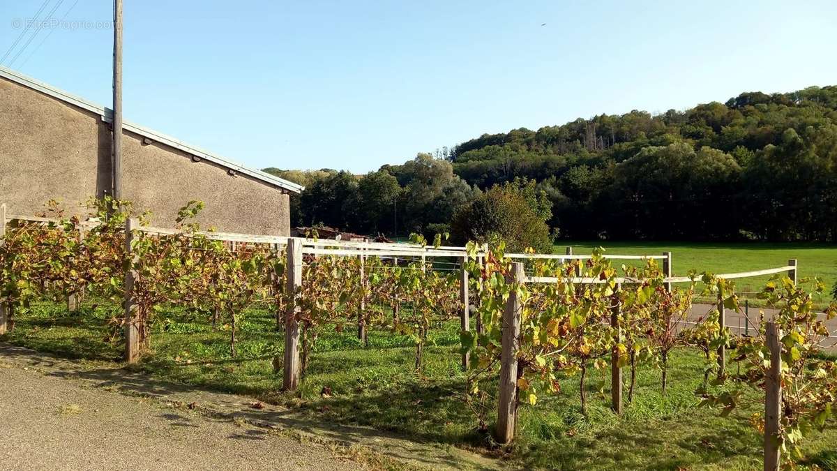 Maison à LANEUVELLE