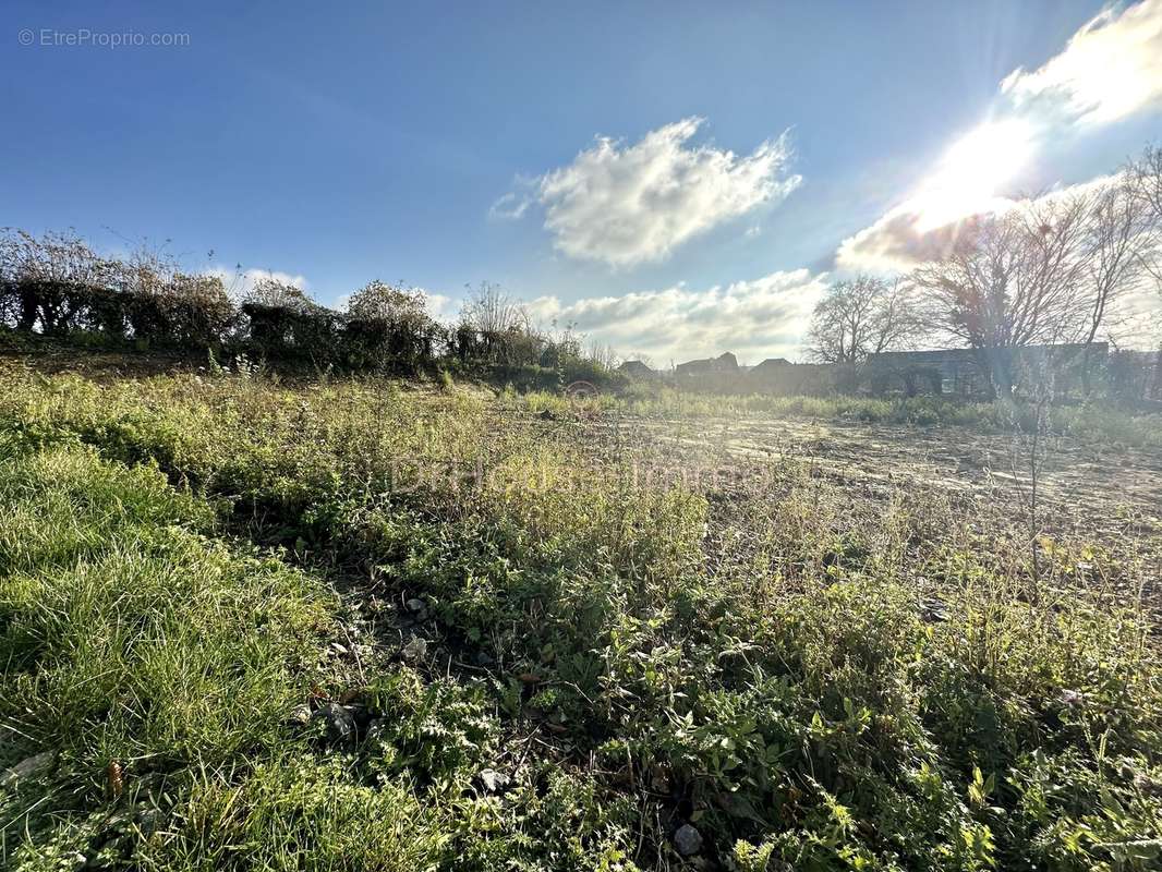 Terrain à NEUVILLY