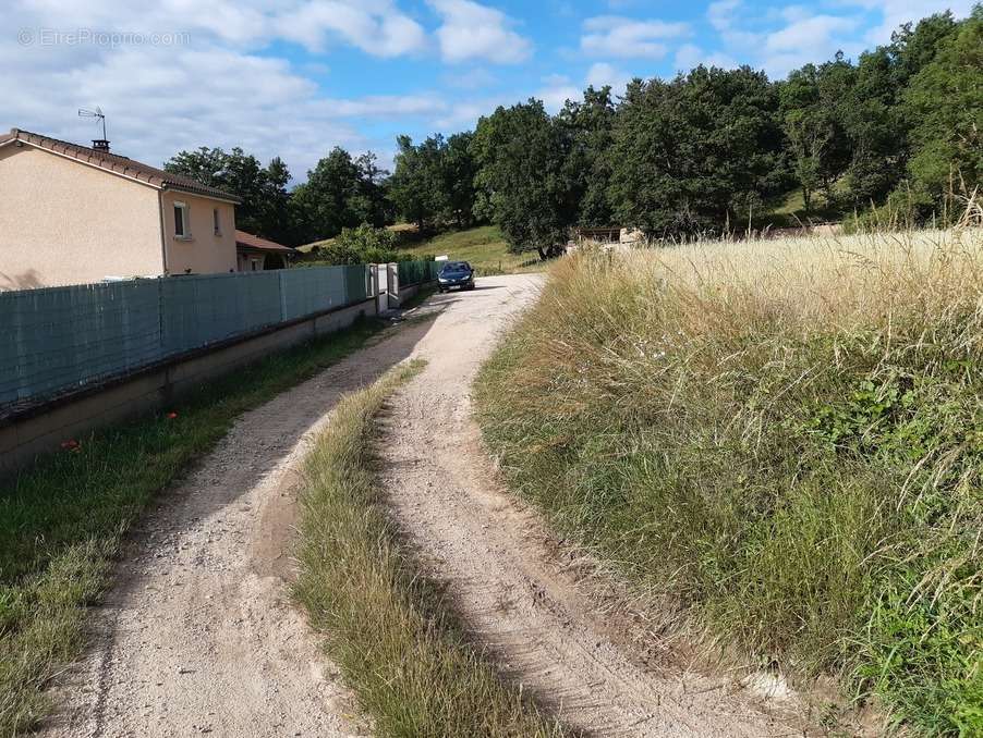 Terrain à BAS-EN-BASSET