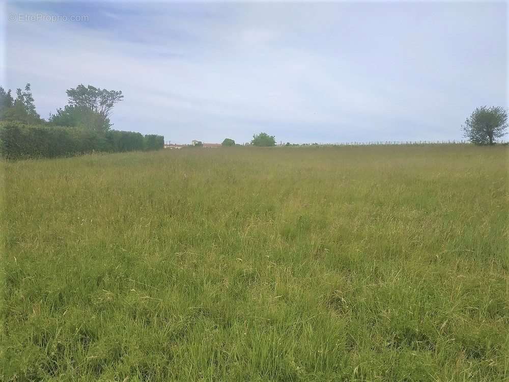 Terrain à BAR-SUR-AUBE