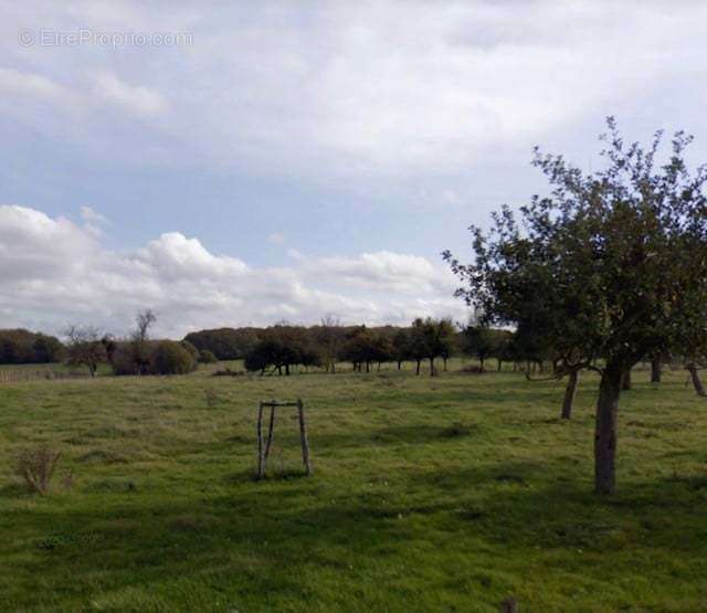 Terrain à BRIEL-SUR-BARSE