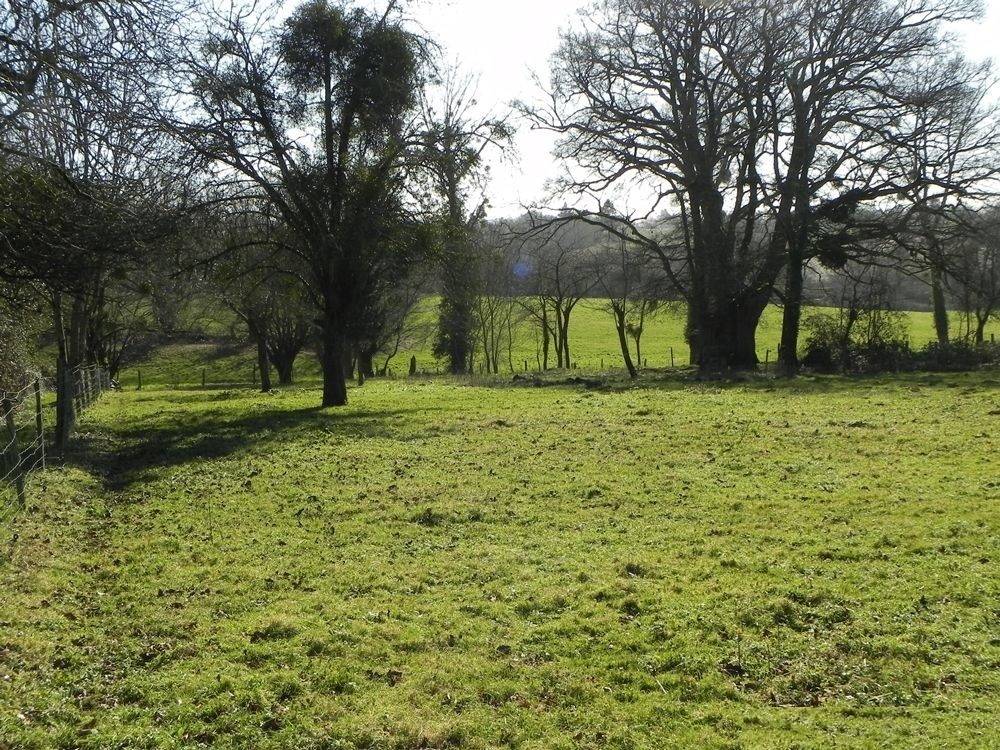 Terrain à SOUVIGNE