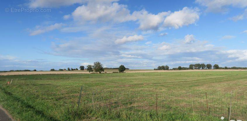 Terrain à CELLES-SUR-BELLE