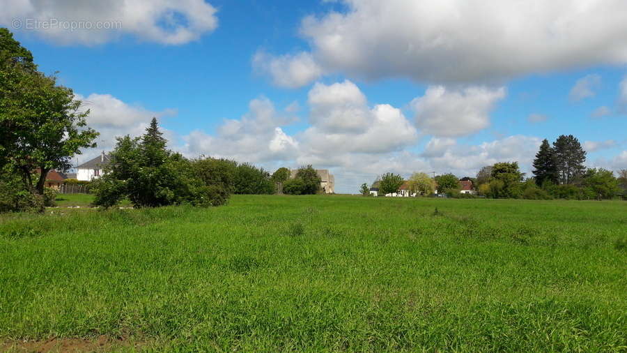 Terrain à COULOMMES-LA-MONTAGNE