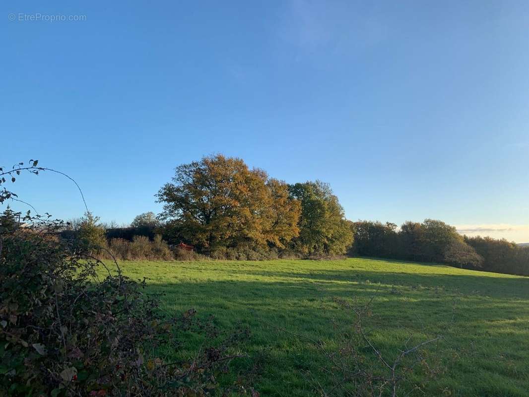 Terrain à SEMUR-EN-AUXOIS