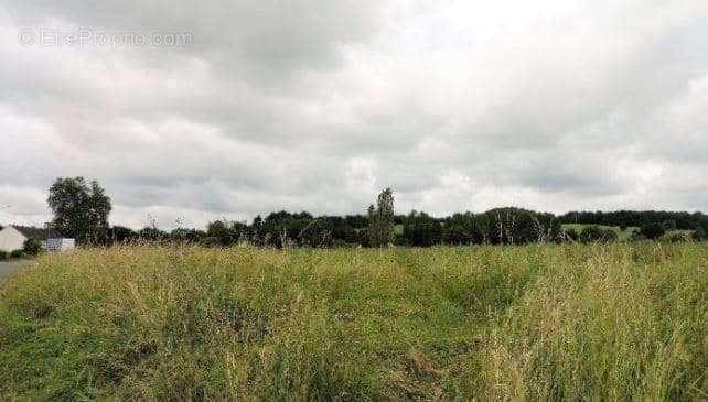 Terrain à SEMUR-EN-AUXOIS