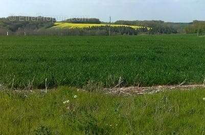 Terrain à SEMUR-EN-AUXOIS