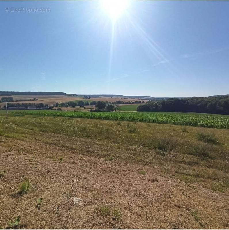 Terrain à SEMUR-EN-AUXOIS