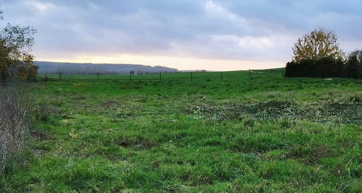 Terrain à POGNY