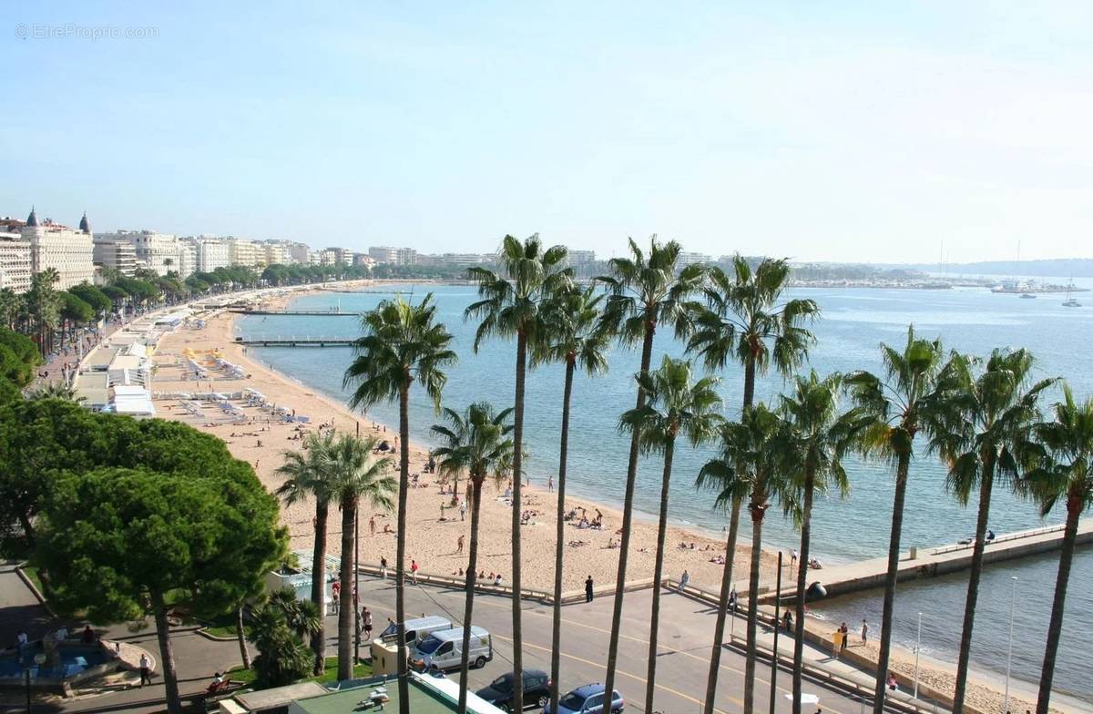 Commerce à CANNES