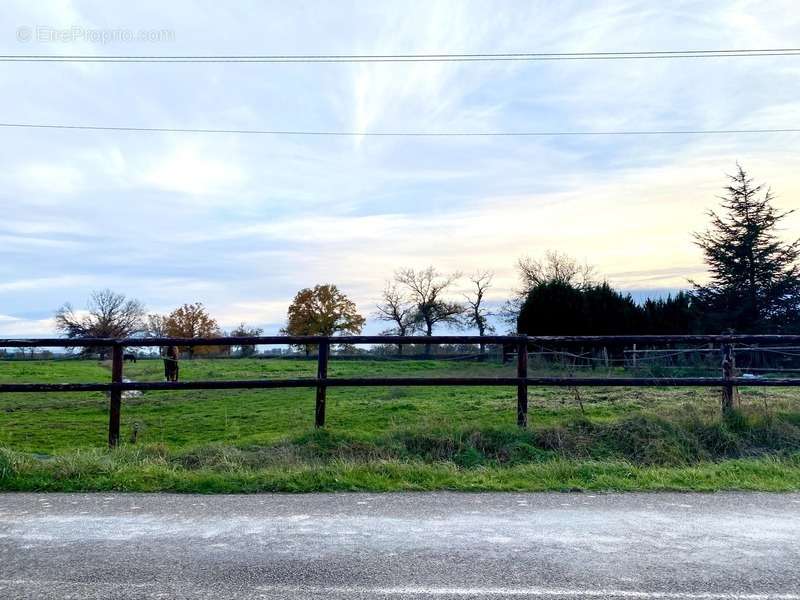 Terrain à VITRY-EN-CHAROLLAIS