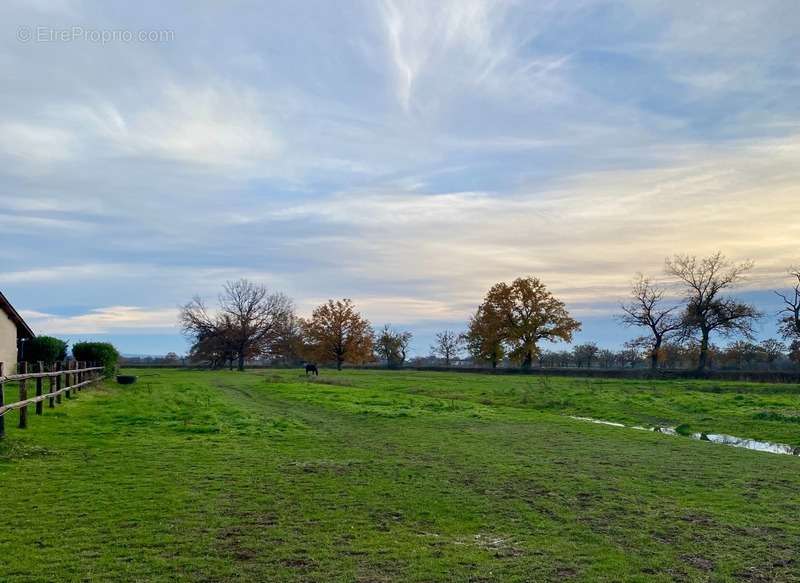 Terrain à VITRY-EN-CHAROLLAIS