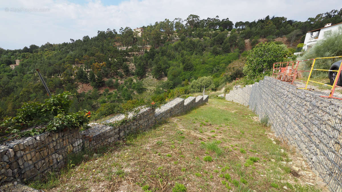 Terrain à EZE