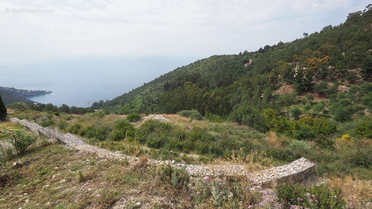 Terrain à EZE