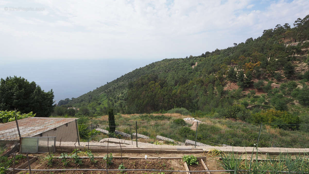 Terrain à EZE