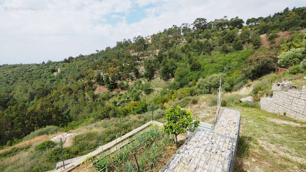 Terrain à EZE