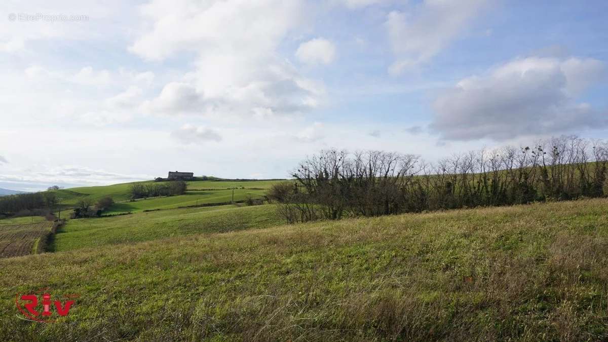 Terrain à LUZINAY