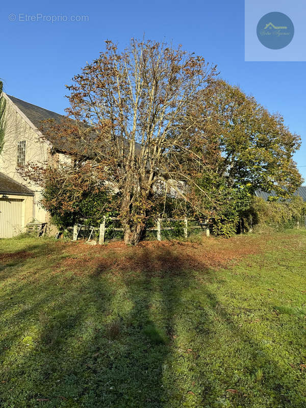 Maison à EGREVILLE