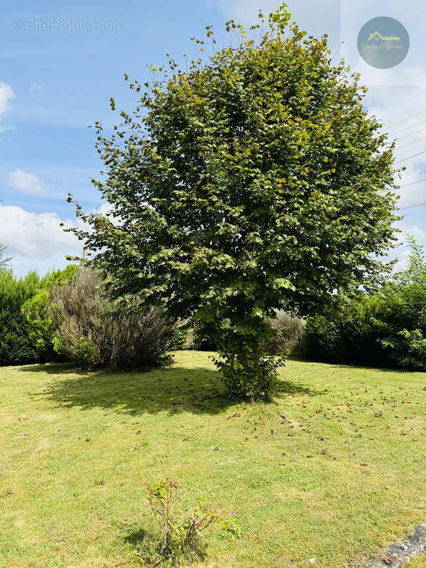 Maison à EGREVILLE