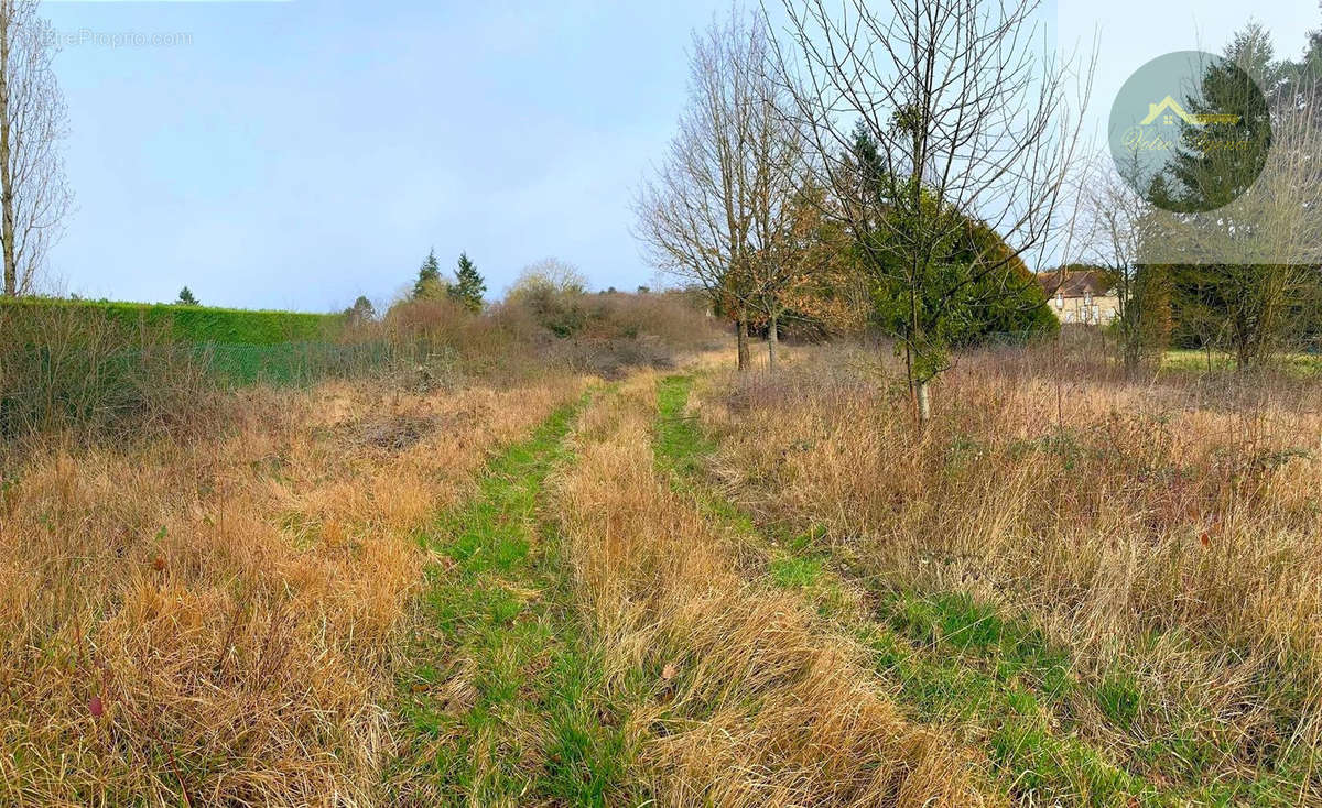 Terrain à LORREZ-LE-BOCAGE-PREAUX