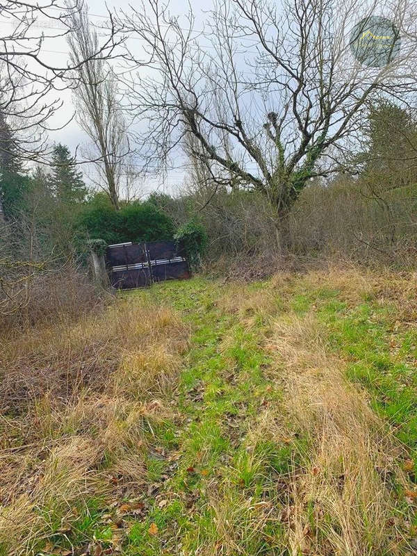 Terrain à LORREZ-LE-BOCAGE-PREAUX