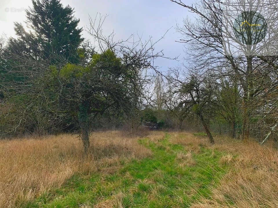 Terrain à LORREZ-LE-BOCAGE-PREAUX