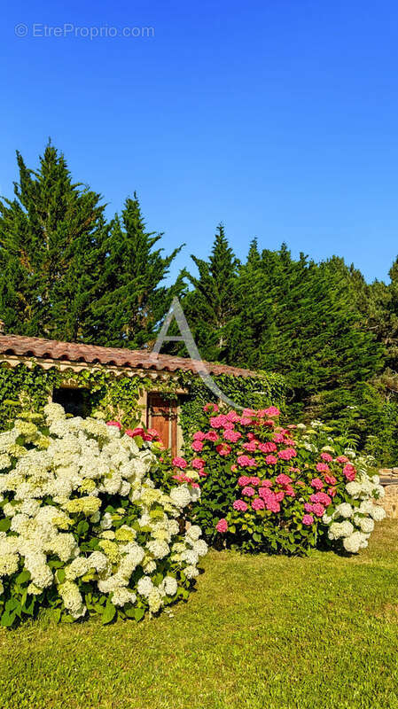 Maison à LACAPELLE-BIRON