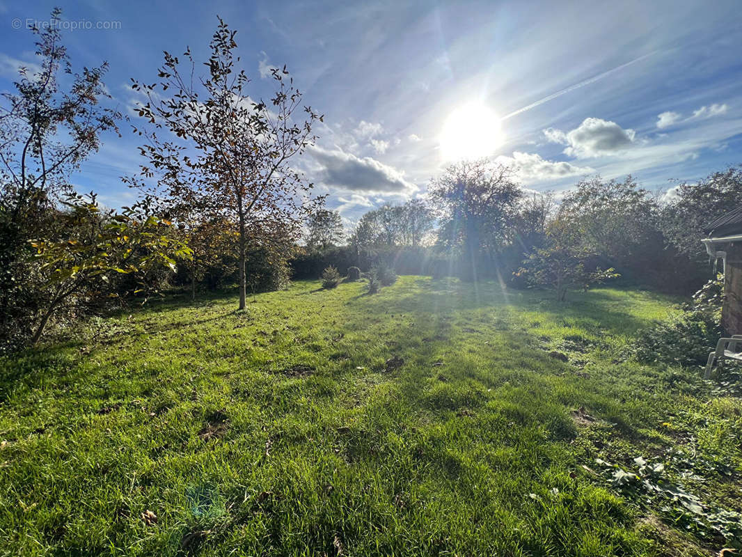 Terrain à SAINT-AMAND-EN-PUISAYE